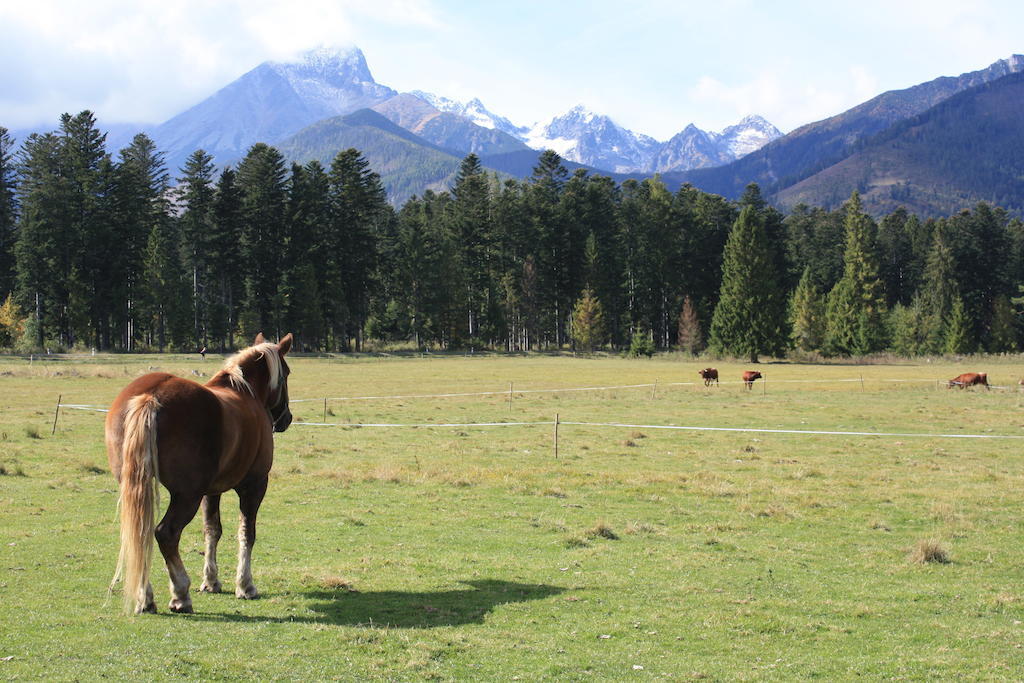 Penzion Koliba Vysoke Tatry Ngoại thất bức ảnh